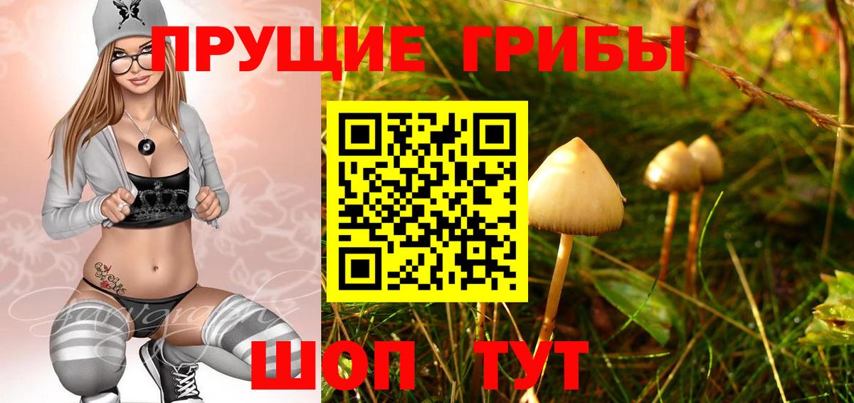 Галлюциногенные грибы прущие грибы  Вход с VPN  Псилоцибиновые грибы Cubensis  хочу   Мелеуз 